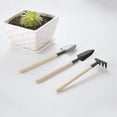 thumbnail image 4 of Set of 3 Mini Gardening Tools - Rake, Trowel and Shovel, 4 of 5