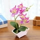 thumbnail image 2 of Artificial Bonsai Faux de Flor Toque Real Arreglo de Plantas en Maceta interior y exterior Oficina en hogar Boda Decoración D Púrpura Soledad bonsái sintético, 2 of 4