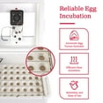 thumbnail image 6 of Little Giant 11300 Deluxe Digital Incubator w/ Fan Automatic Egg Turner (2 Pack), 6 of 9