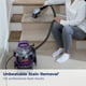 thumbnail image 3 of Limpiador de alfombras Bissell SpotClean Pet Pro 2458 Grapevine Purple, 3 of 7