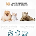thumbnail image 5 of 3 Pieces Small Pet Toothbrush Tufted Toothbrush End-tuft Toothbrush, 5 of 5