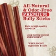 Natural Farm OdorFree Bully Sticks (6 Inch, 20 Pack), 100 Beef Chews