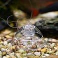 thumbnail image 3 of Aquarium Snail Trap Plants Planarian Pest Catch Box for Aquarium Fish Tank, 3 of 5