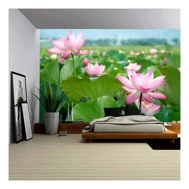 Wall26 Lotus Flower Blossom Removable Wall Mural Self Adhesive Large Wallpaper 100x144 Inches Com - Lotus Flower Wallpaper For Walls