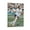 Frame-style, variant on Sophia Smith Poster Canvas Poster Art Poster Canvas Painting Decor Wall Print Photo Gifts Home Modern Decorative Posters 24x36inch(60x90cm)