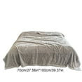 thumbnail image 2 of Tunhigl Cozy Taffeta Fleece Throw Blanket - Ultra-Soft Polyester Sofa & Nap Blanket for Adults, Pets - Plush Lightweight Throw for Living Room, Bed, Travel, All Seasons Silver, 2 of 6
