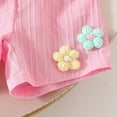 thumbnail image 6 of Lopeceal Girls Cute 2 Piece Outfits 3D Floral Ruffle Crew Neck Pleated Hem Babydoll Top and Shorts Sweet Cheeky Trendy 0M-4Y, 6 of 8