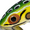 Leopard Frog, variant on Arbogast Jitterbug Topwater Bait 2 1/2" Cricket Frog 3/8 oz.
