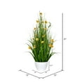 thumbnail image 2 of Vickerman 31" Yellow Potted Cosmos Grass - FV190331, 2 of 2