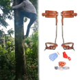View all media