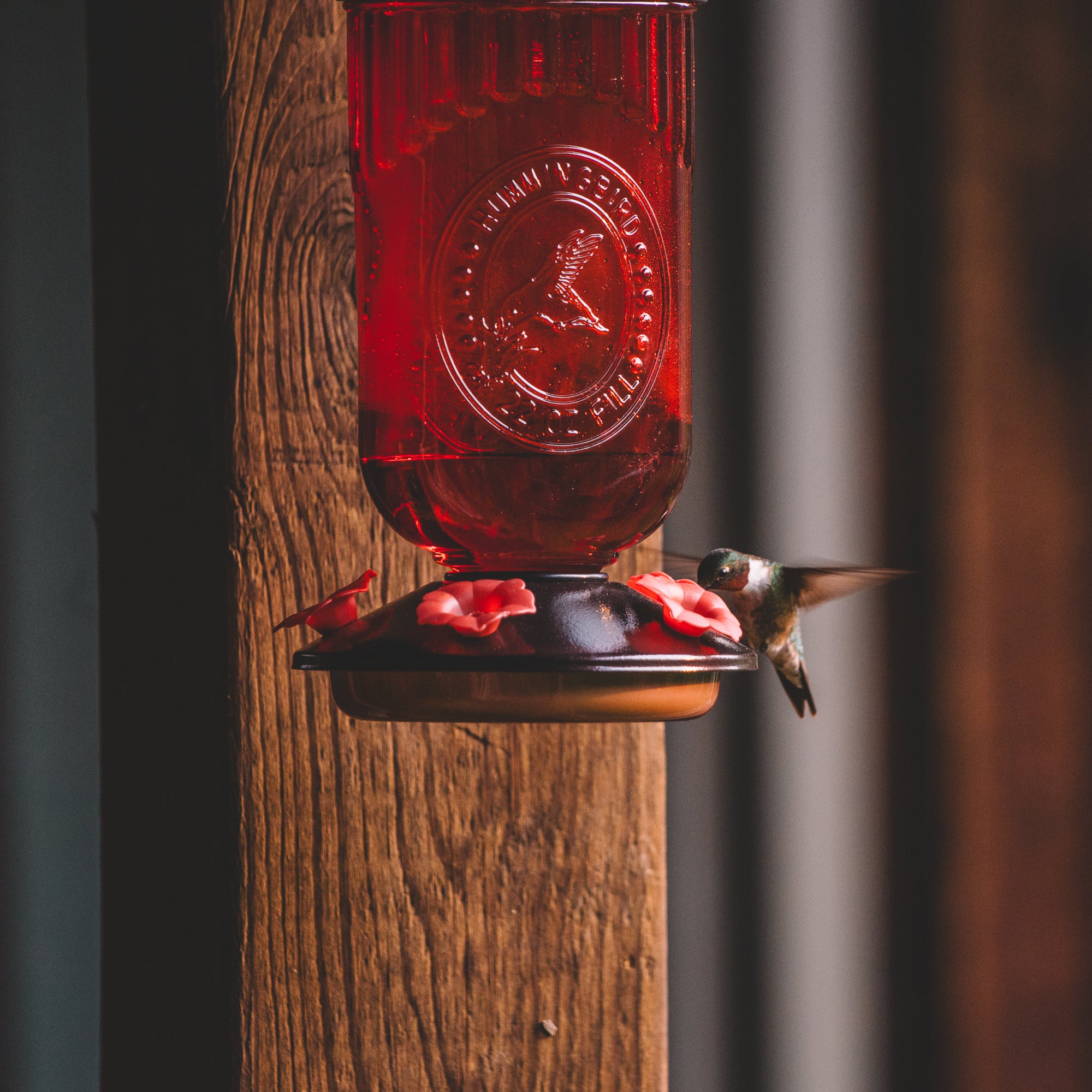 Backyard Expressions Red Embossed Oval Glass Hummingbird Feeder with Feeding Ports