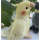 thumbnail image 3 of Simulación suave Mini tamaño realista cacatúa gris juguetes de peluche vida Real suave loro amarillo pájaros animales de peluche muñecas de juguete regalos, 3 of 5