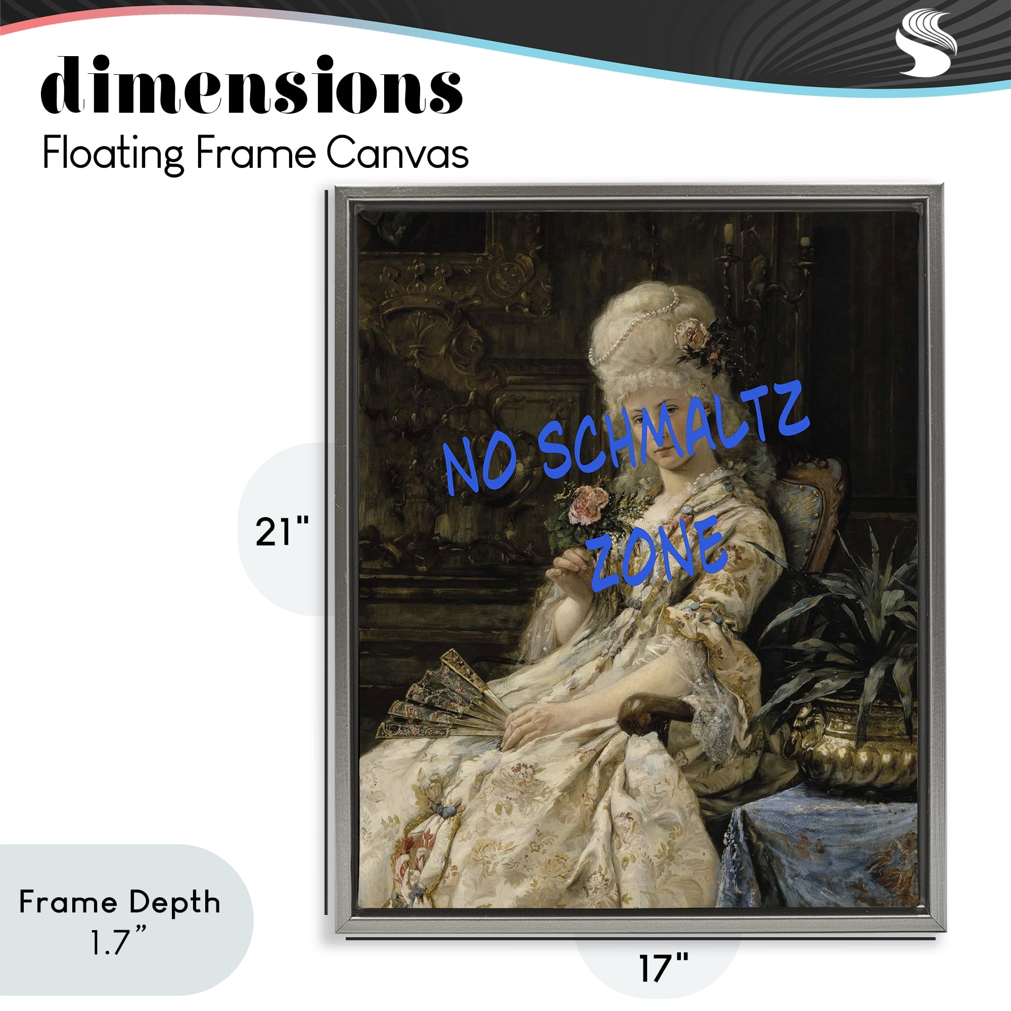 Stupell Industries Iconic No Schmaltz Zone Gray Framed Floater Canvas Wall Art, design by Grotto Studios