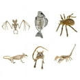 thumbnail image 5 of Janrevotw Halloween Party Decorations Animal Bones Skeleton Skeleton Model Piranha Lizard Spider Rat Bat Scorpion Skeleton Animal Skeleton, 5 of 5