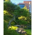 thumbnail image 3 of Tenoever, William 20x24 Black Modern Framed Museum Art Print Titled - Japanese Friendship Garden I, 3 of 5