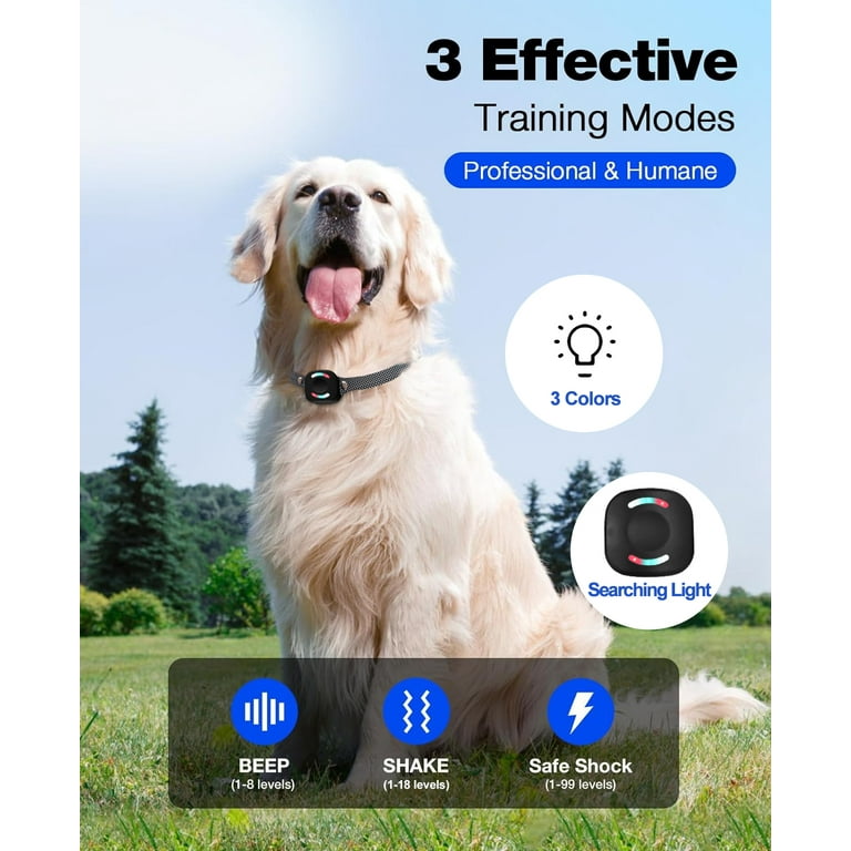 Customer Service Heaflex Dog Shock Collar With Remote, Dog