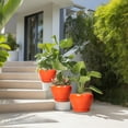 thumbnail image 5 of Ceramic Planter Pots Set of 3 with Drainage Hole & Saucer,10/8/6 inch Round Pots for Indoor Plants Flowers & Houseplants Patio & Outdoor Use Orange, 5 of 8