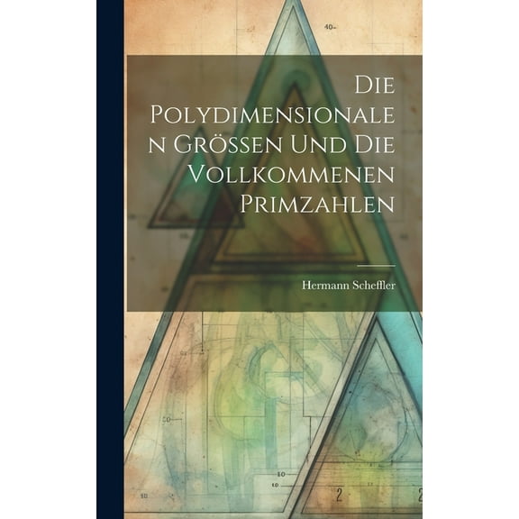 Die Polydimensionalen Grössen und die Vollkommenen Primzahlen (Hardcover)