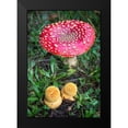 thumbnail image 2 of Hellmann, Stan 14x18 Black Modern Framed Museum Art Print Titled - Amanita Muscaria, 2 of 5