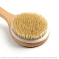 thumbnail image 4 of 2-DAY Premium Natural Boar Bristle Long Handle Wooden Bath Brush Shower Body Back SPA, 4 of 5