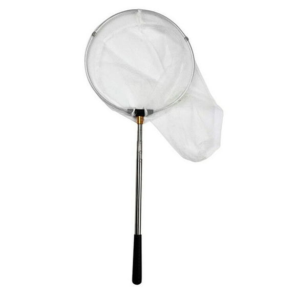 Insect And Butterfly Net, 36 Inches Net Depth, Handle Extends To 59 Inches