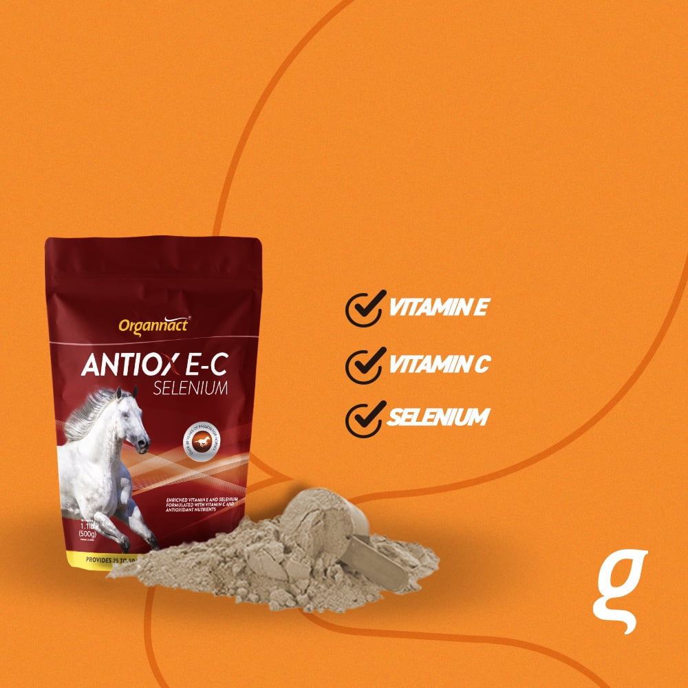 Organnact ANTIOX E-C SELENIUM - Antioxidant Support for Horses: Vitamin E, C & Selenium 1,1lb (500g)