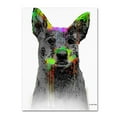 thumbnail image 2 of Marlene Watson "Cattle Dog" Canvas Art, 2 of 4