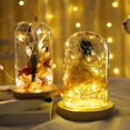thumbnail image 2 of String Lights BQZYX+, paquete de 2 unidades, alimentadas por USB, amarillo cálido, 5 m, 2 of 5