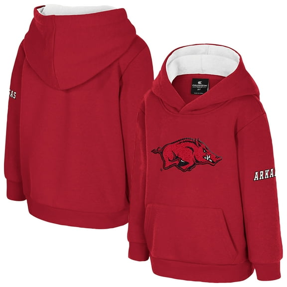 Toddler Colosseum  Cardinal Arkansas Razorbacks Big Logo Volume Fleece Pullover Hoodie