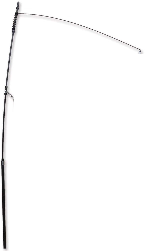 Premier Kites Swimming Fish Salmon