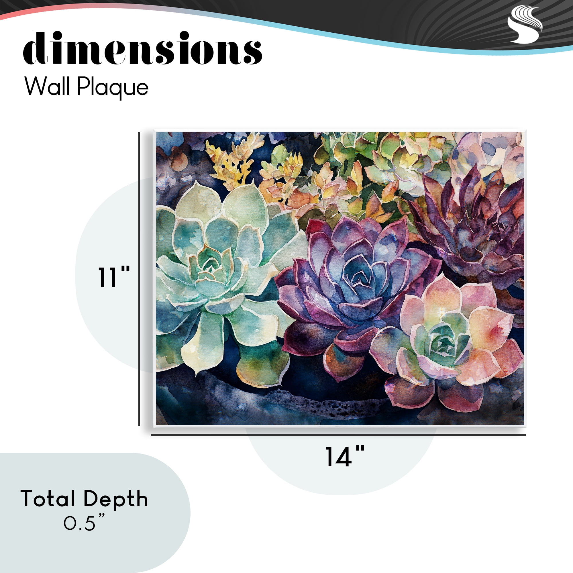 Stupell Industries Tutti Succulents Collection Wall Plaque Art, design by Svetlana Aleynikova