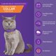thumbnail image 2 of Juego de collar calmante para gatos Collar calmante para gatos ajustable con aroma a lavanda Collar relajante para gatos, Reduce la ansiedad por agresión por estrés, 38 cm Púrpura TUNC Sencillez, 2 of 5
