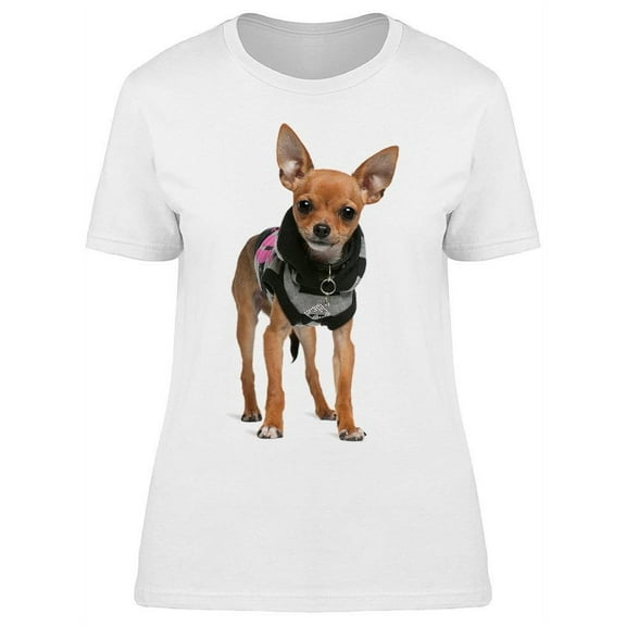 Cute Dressed Chihuahua T-Shirt Women -Image by Shutterstock, Female x-Large