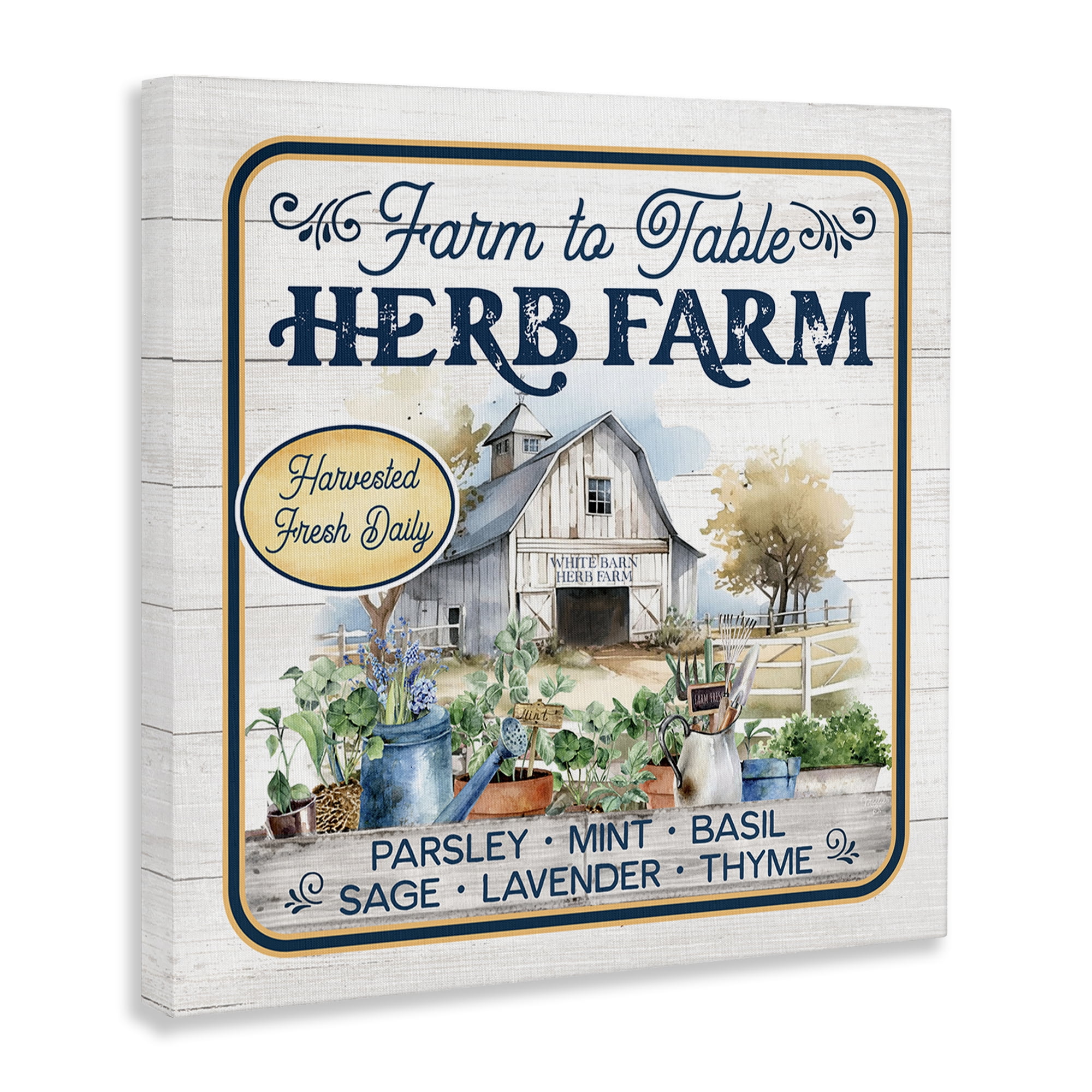 Stupell Industries Fresh Daily Herb Farm Text & Numbers Painting Wrapped Canvas Art Print Wall Art, 17 x 17