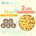 PAWUP Freeze Dried Quail STF9 Egg Yolk Pet Treats, FreezeDried Pet