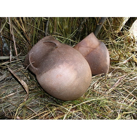 - LAMINATED POSTER Jugs Native American Pottery Old Pottery Archeology Poster Print 24 x 36