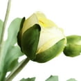 thumbnail image 4 of Artificial Ranunculus Flowers with Real Touch Stem Spray for Home Garden Decoration (White), 4 of 5