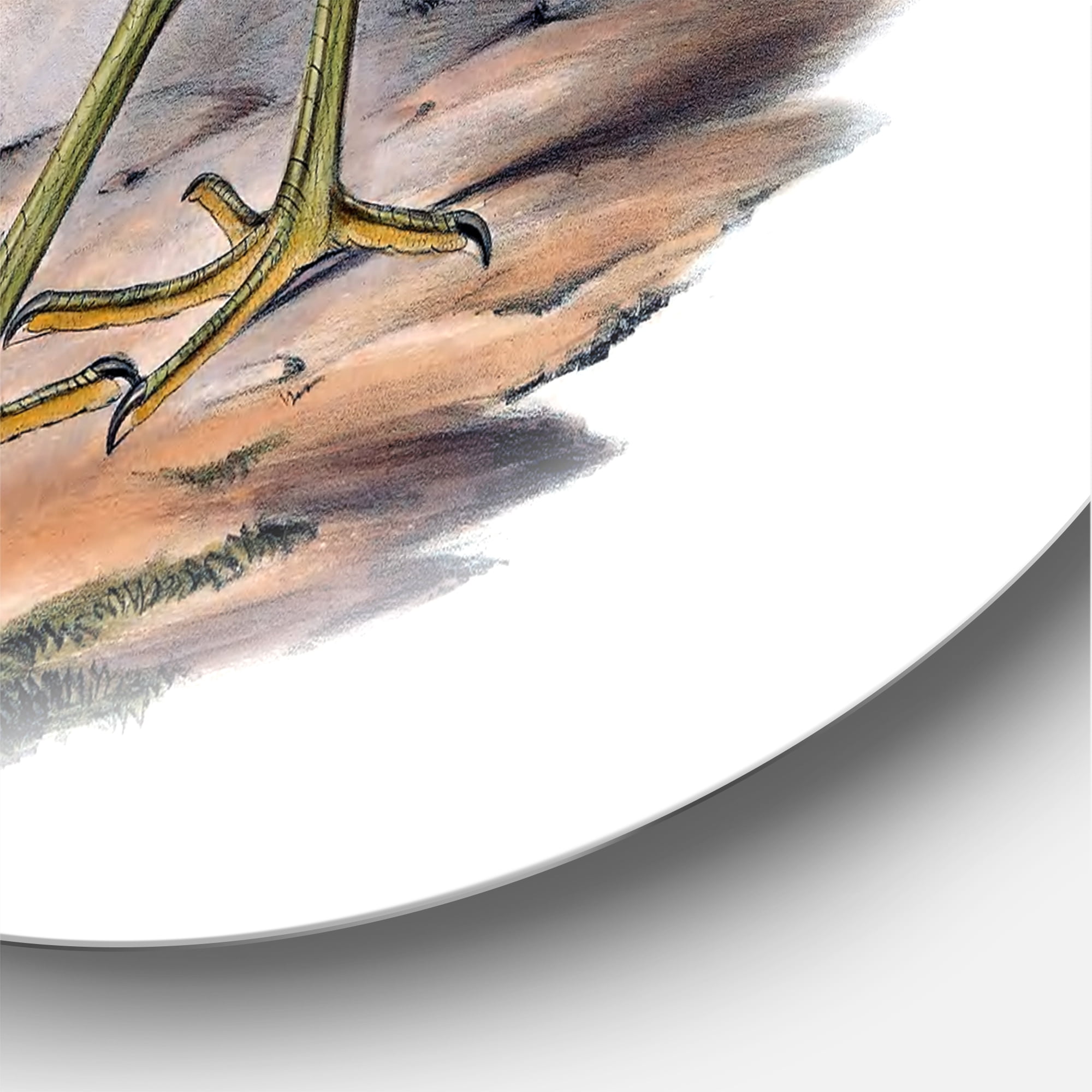 Designart 'Ancient Australian Birds XIII' Traditional Circle Metal Wall Art 11x11 - Disc of 11