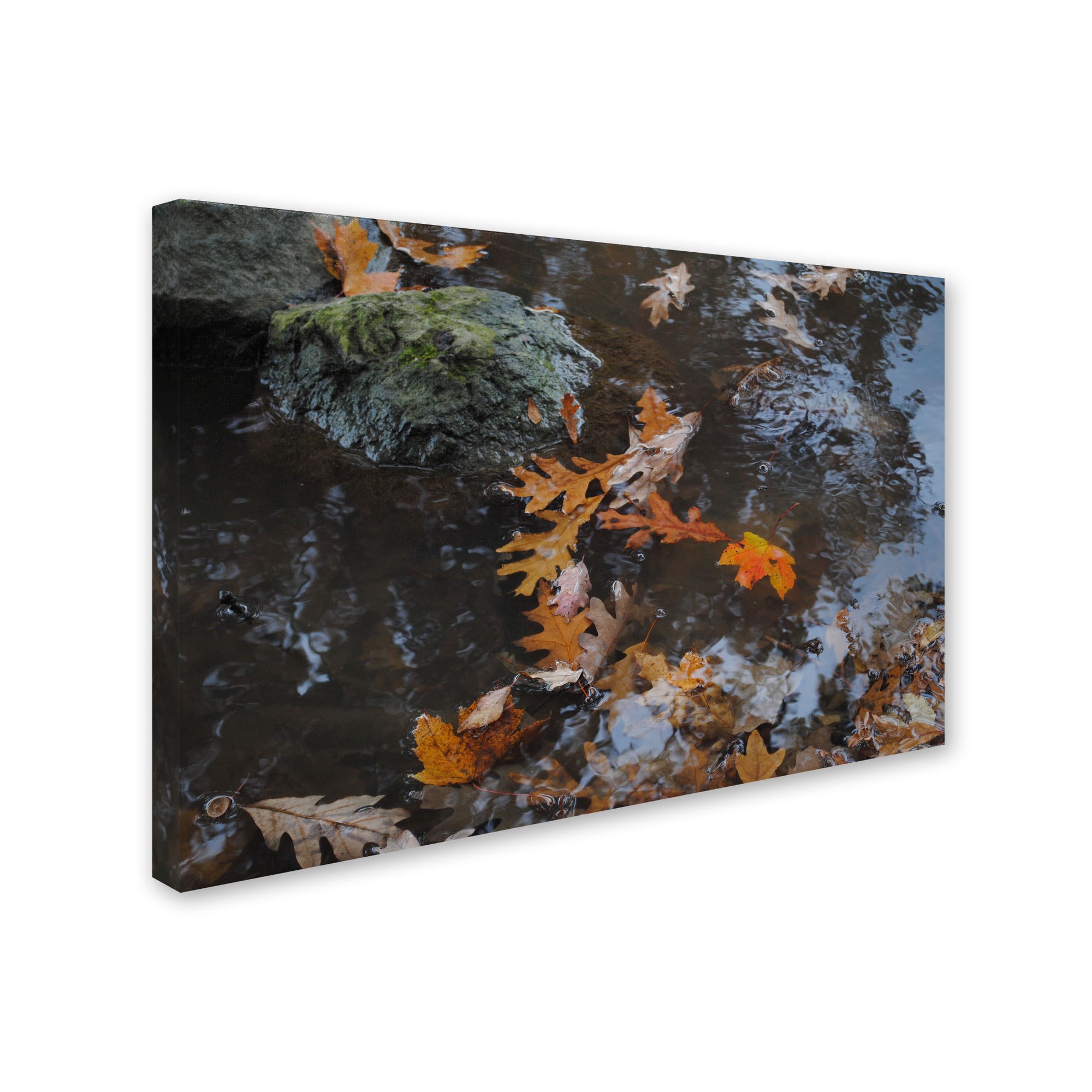 Trademark Fine Art "Buoyant" Canvas Art by Monica Fleet