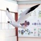 thumbnail image 4 of Gaviota 1PC realista gaviota con plumas Jardín Patio Jardín, 4 of 8