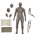 thumbnail image 2 of NECA momia faraón egipcio antiguo monstruo Universal versión en Color modelo de figura móvil de 7 pulgadas, 2 of 5