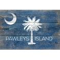 thumbnail image 1 of Pawleys Island, South Carolina State Flag, Rustic Painting (36x54 Giclee Gallery Art Print, Vivid Textured Wall Decor), 1 of 3