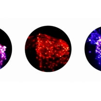 Outdoor Solar Lamp String, Led Solar Fairy Lamp Waterproof Decorative Copper Wire Lamp (8 Features 20m 200 Lights Red)