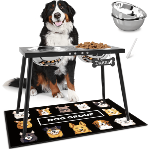 SHAINFUN Metal Elevated Dog Bowl Stand, 17" Tall with Mat