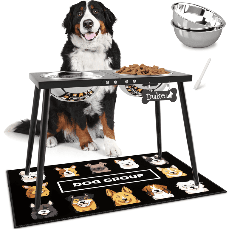 SHAINFUN Metal Elevated Dog Bowl Stand, 17" Tall with Mat photo 1