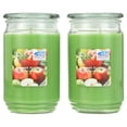 thumbnail image 6 of Mainstays Sweet Apple Scented Single-Wick Large Glass Jar Candle, 20 oz., 2-Pack, 6 of 7