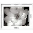 thumbnail image 5 of Art.com Lotus Flower V Photo by Debra Van Swearingen, White Frame Wall Art, 21" x 17", 5 of 5