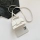 thumbnail image 4 of Bolso Bandolera Mujer PU Hombro Cierre Broche Hobo Elegante, 4 of 9
