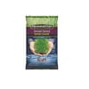 Pennington Pennington 100543702 Smart Seed Dense Shade Grass Seed, 3 Lbs