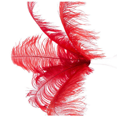 thumbnail image 4 of 40 Pcs Natural Ostrich Feathers Wedding Party Decoration Red 20-25cm, 4 of 4